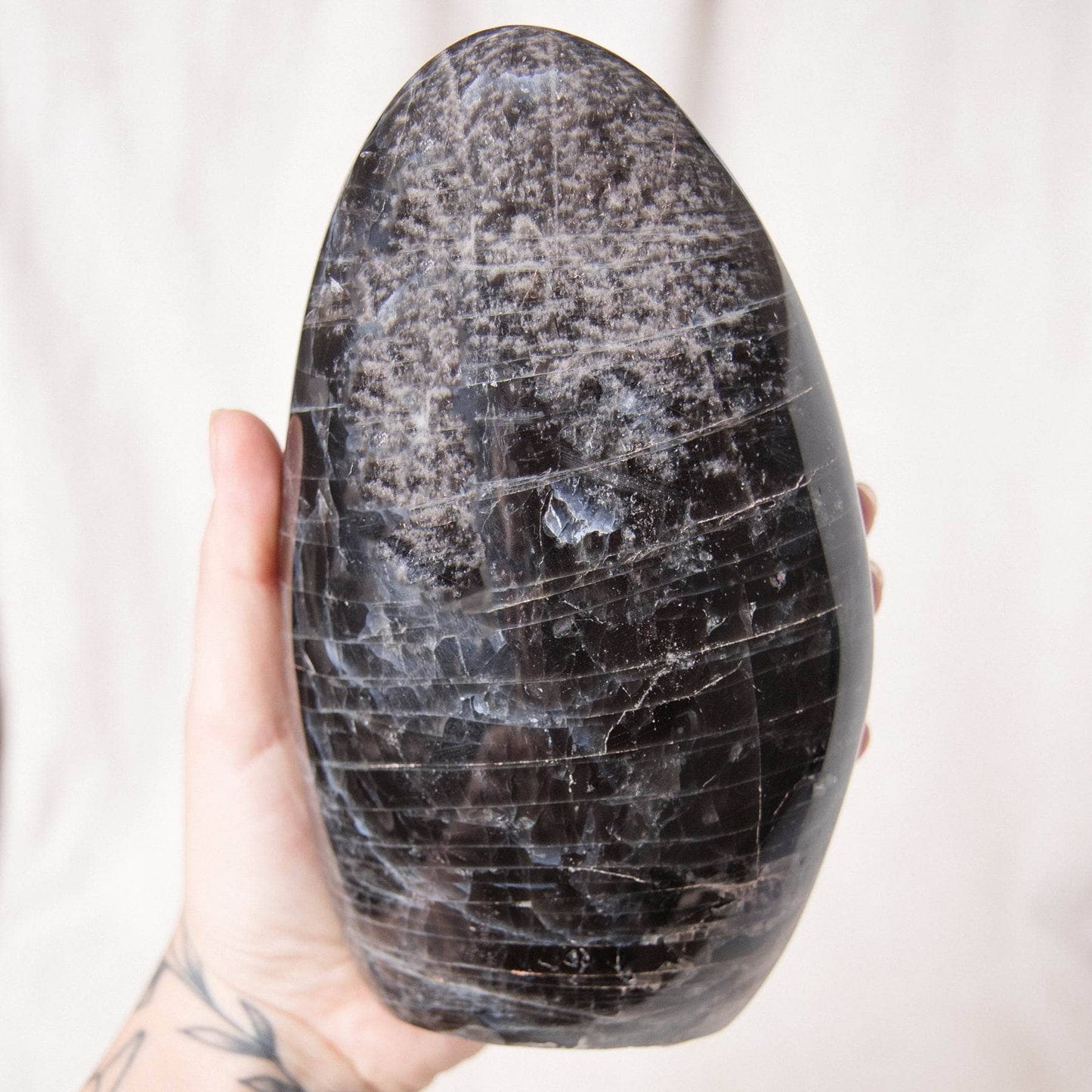 Black Moonstone Freeform - AAA Premium Quality