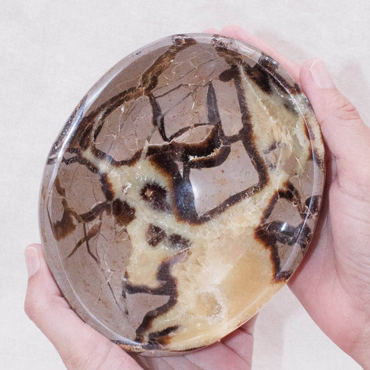 Black Septarian Bowl - 1 of a Kind