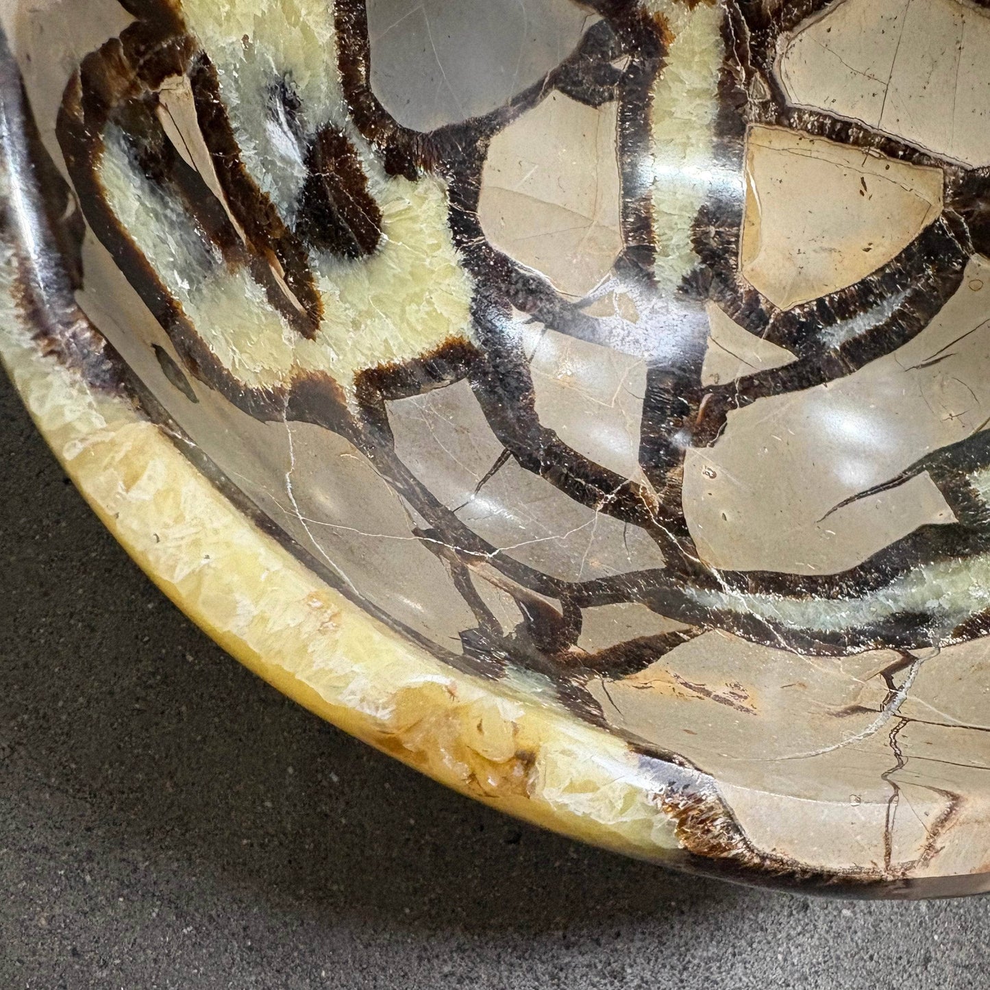 Black Septarian Bowl - 1 of a Kind