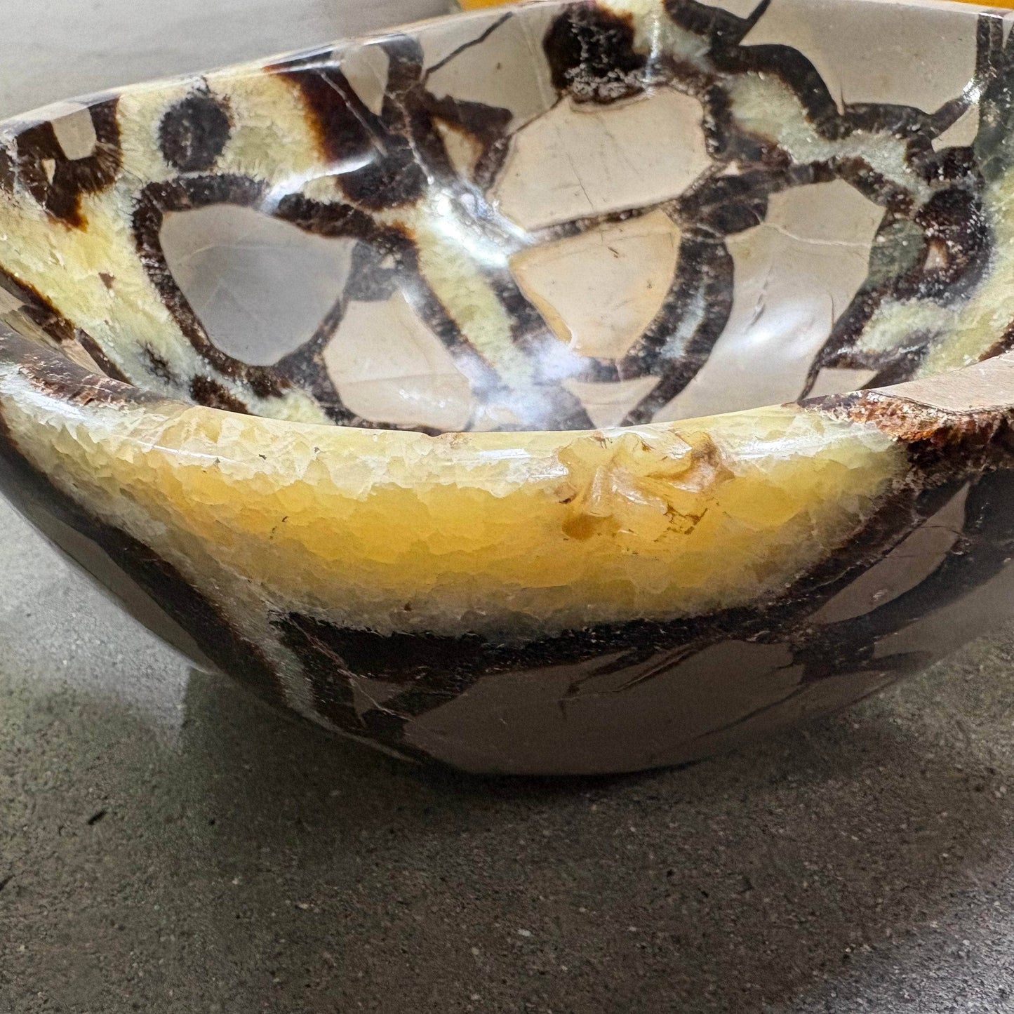 Black Septarian Bowl - 1 of a Kind
