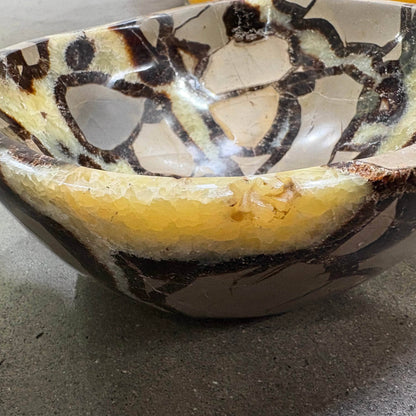 Black Septarian Bowl - 1 of a Kind