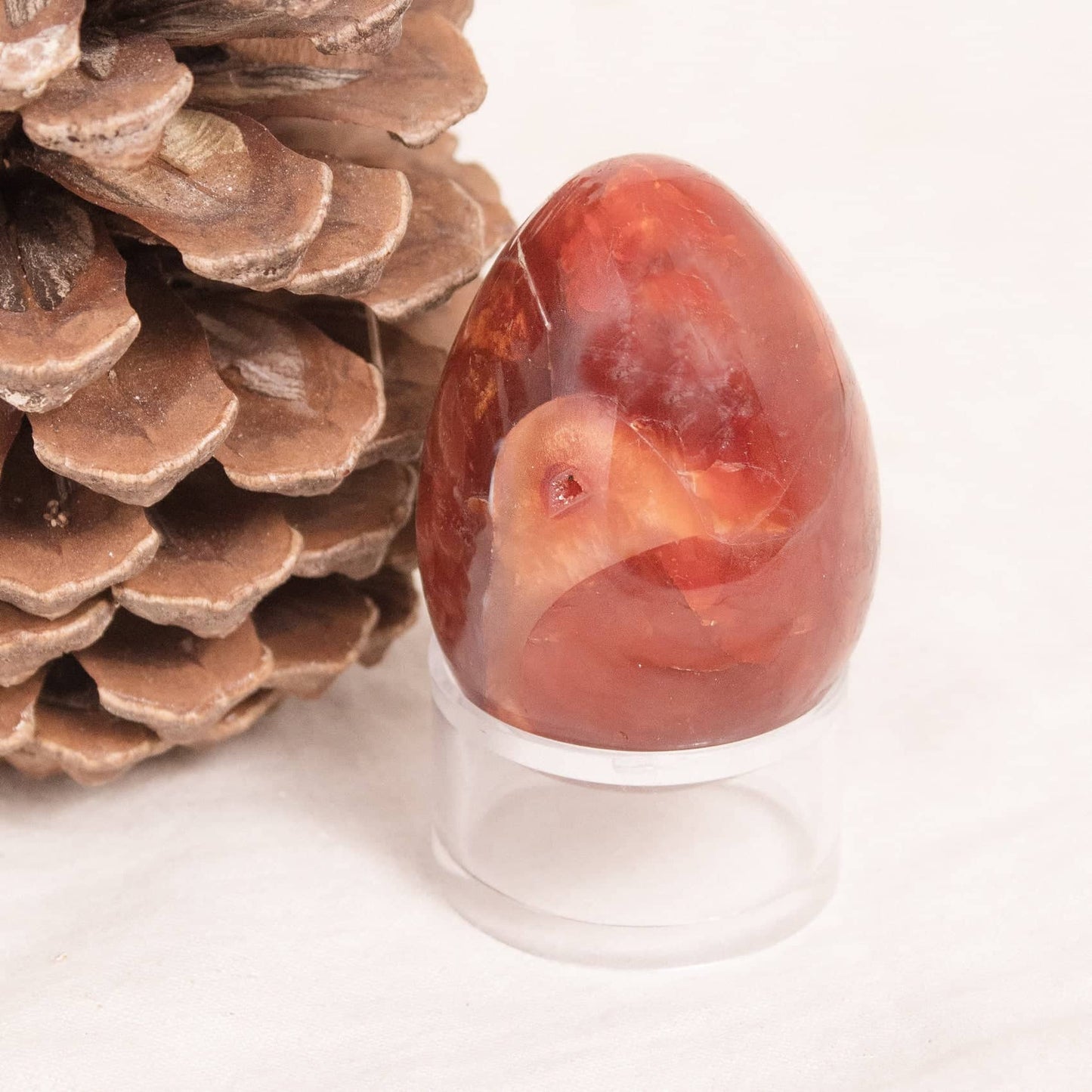 Carnelian Egg - AAA Premium Quality - 1 of a Kind