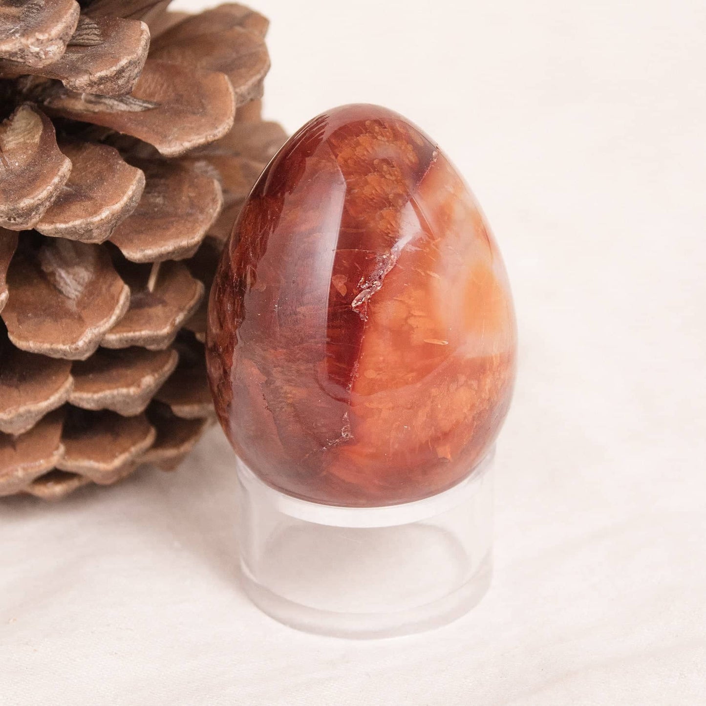 Carnelian Egg - AAA Premium Quality - 1 of a Kind