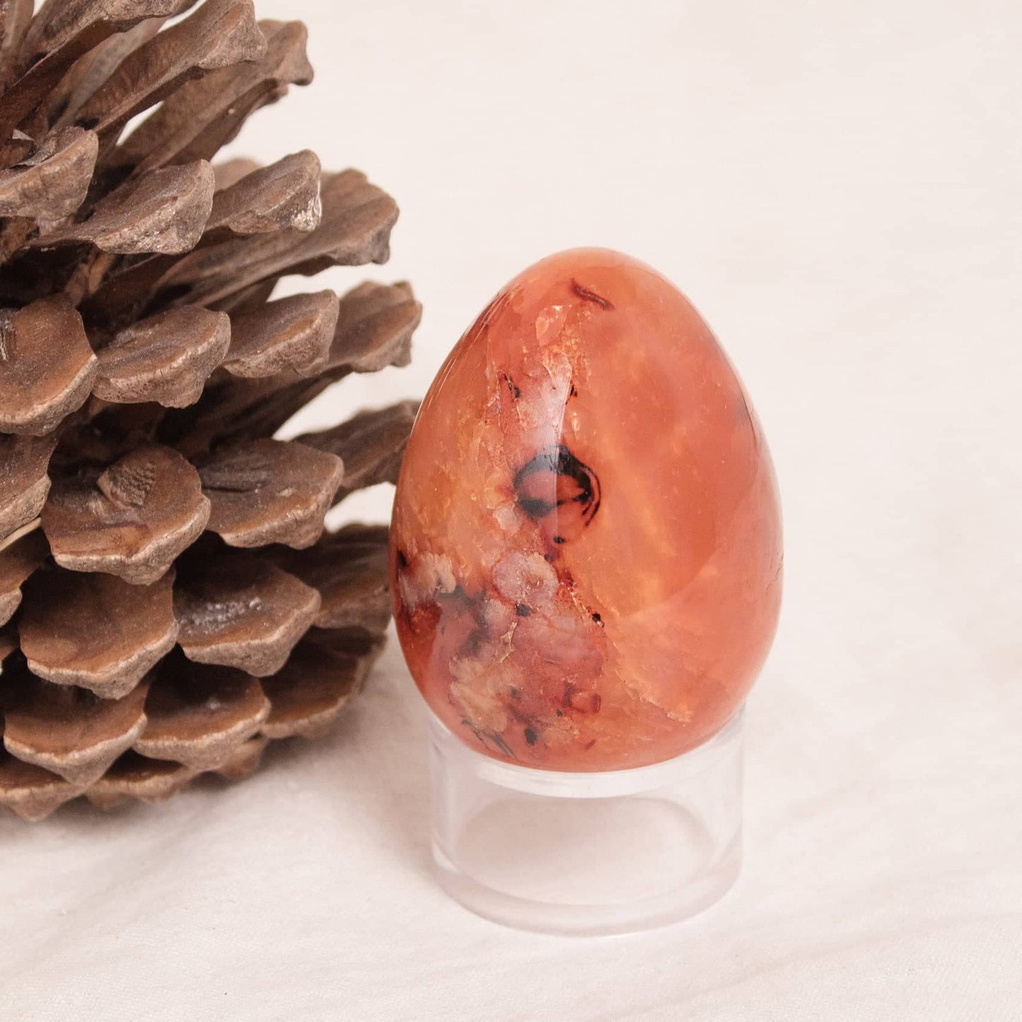 Carnelian Egg - AAA Premium Quality - 1 of a Kind