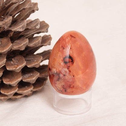 Carnelian Egg - AAA Premium Quality - 1 of a Kind