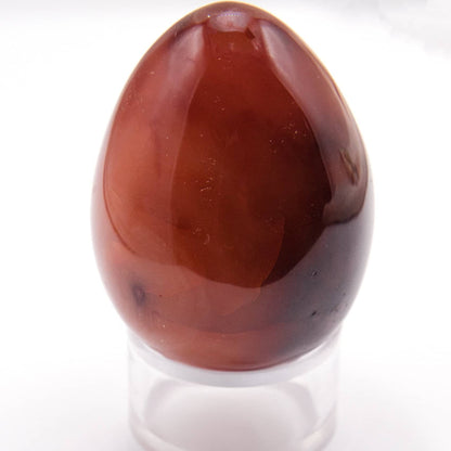 Carnelian Egg - AAA Premium Quality - 1 of a Kind