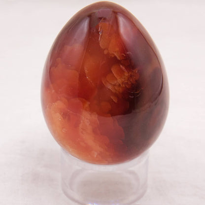 Carnelian Egg - AAA Premium Quality - 1 of a Kind