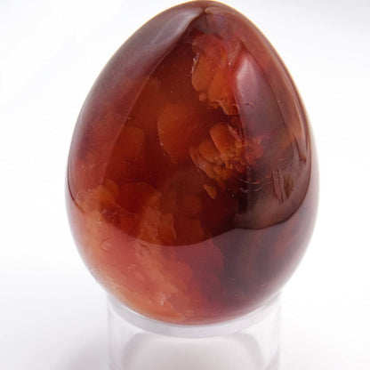 Carnelian Egg - AAA Premium Quality - 1 of a Kind