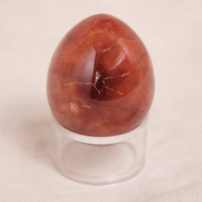 Carnelian Egg - AAA Premium Quality - 1 of a Kind
