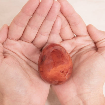Carnelian Egg - AAA Premium Quality - 1 of a Kind
