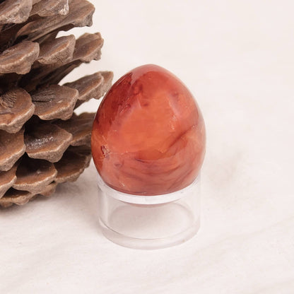 Carnelian Egg - AAA Premium Quality - 1 of a Kind