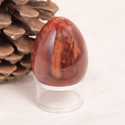 Carnelian Egg - AAA Premium Quality - 1 of a Kind