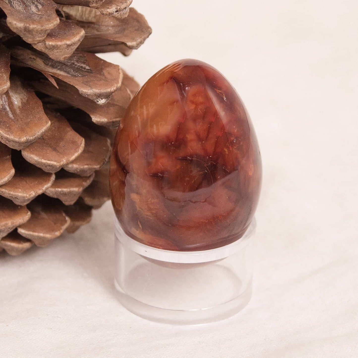 Carnelian Egg - AAA Premium Quality - 1 of a Kind