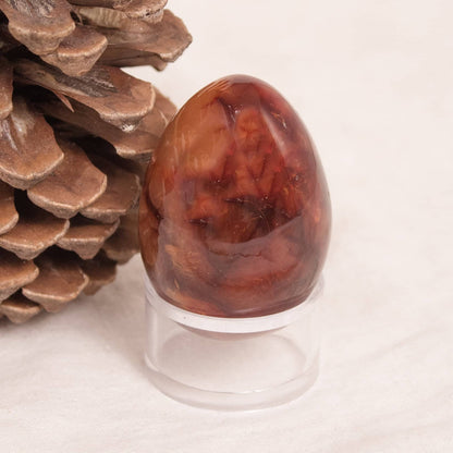 Carnelian Egg - AAA Premium Quality - 1 of a Kind