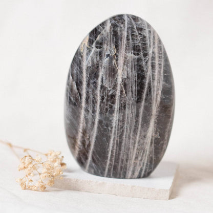 Black Moonstone Freeform - AAA Premium Quality