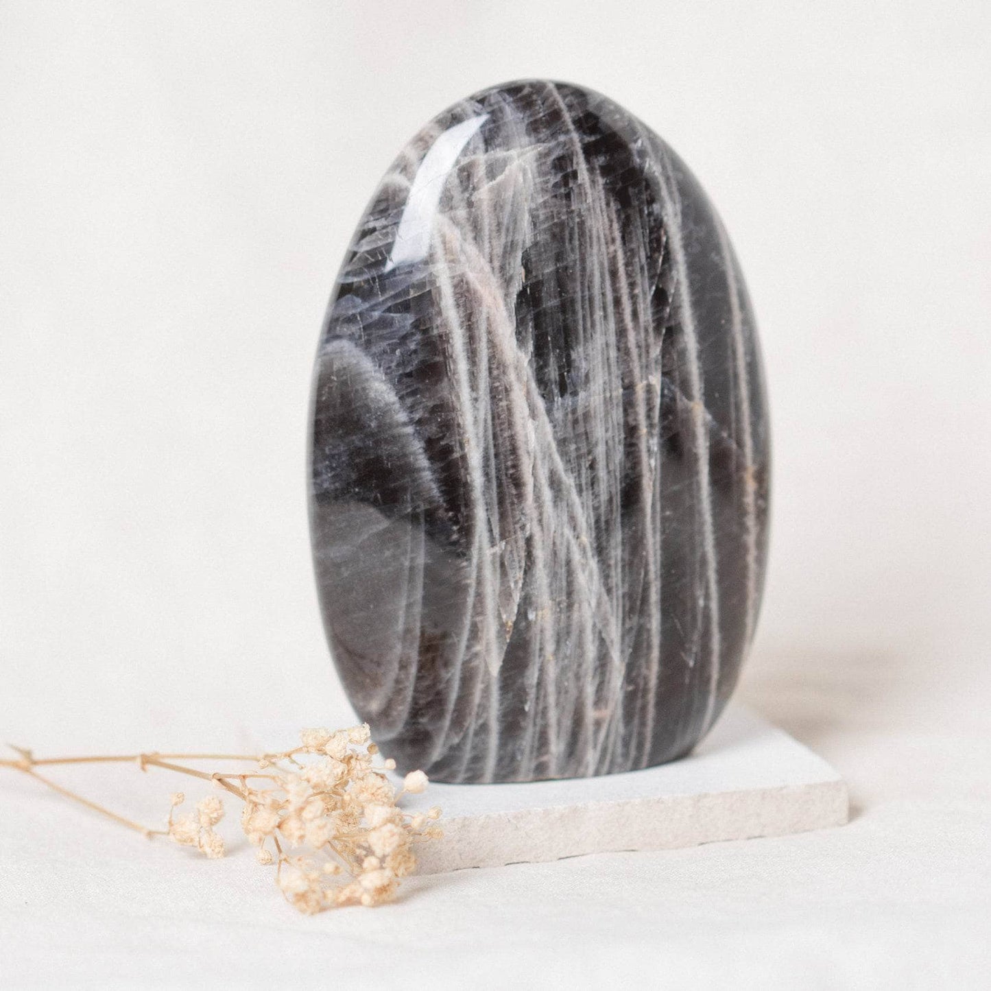 Black Moonstone Freeform - AAA Premium Quality