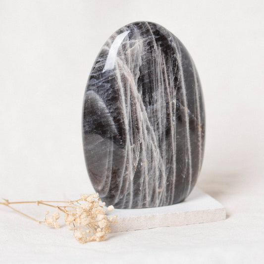 Black Moonstone Freeform - AAA Premium Quality