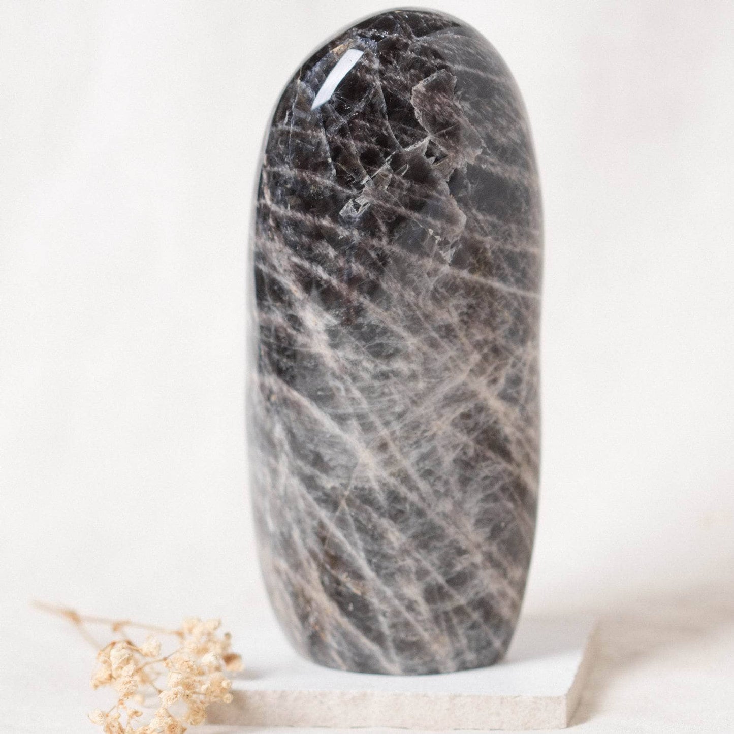 Black Moonstone Freeform - AAA Premium Quality