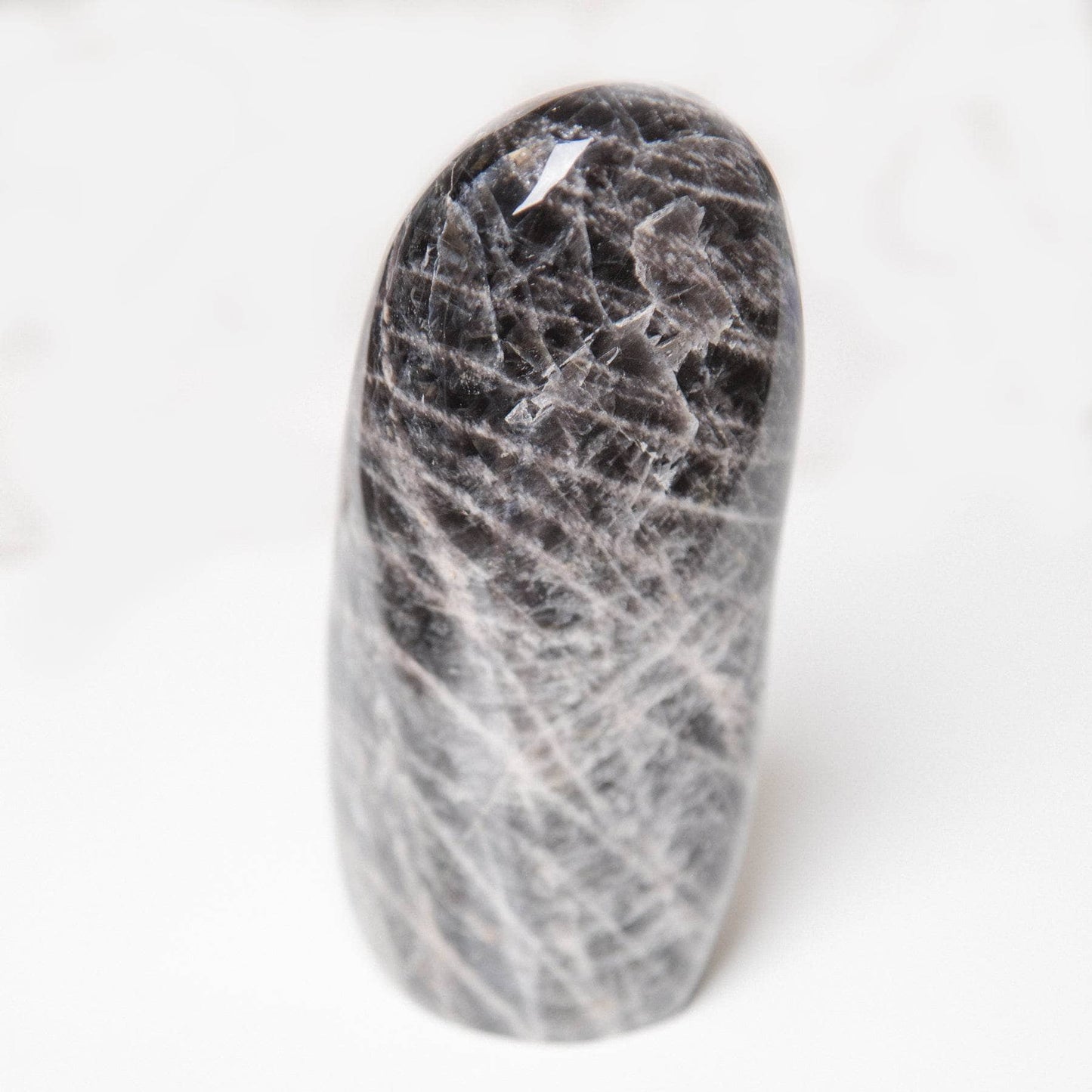 Black Moonstone Freeform - AAA Premium Quality