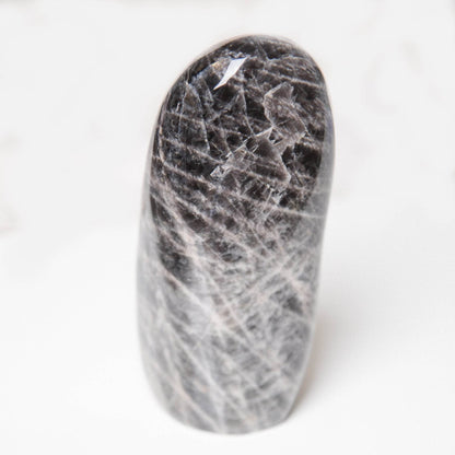 Black Moonstone Freeform - AAA Premium Quality