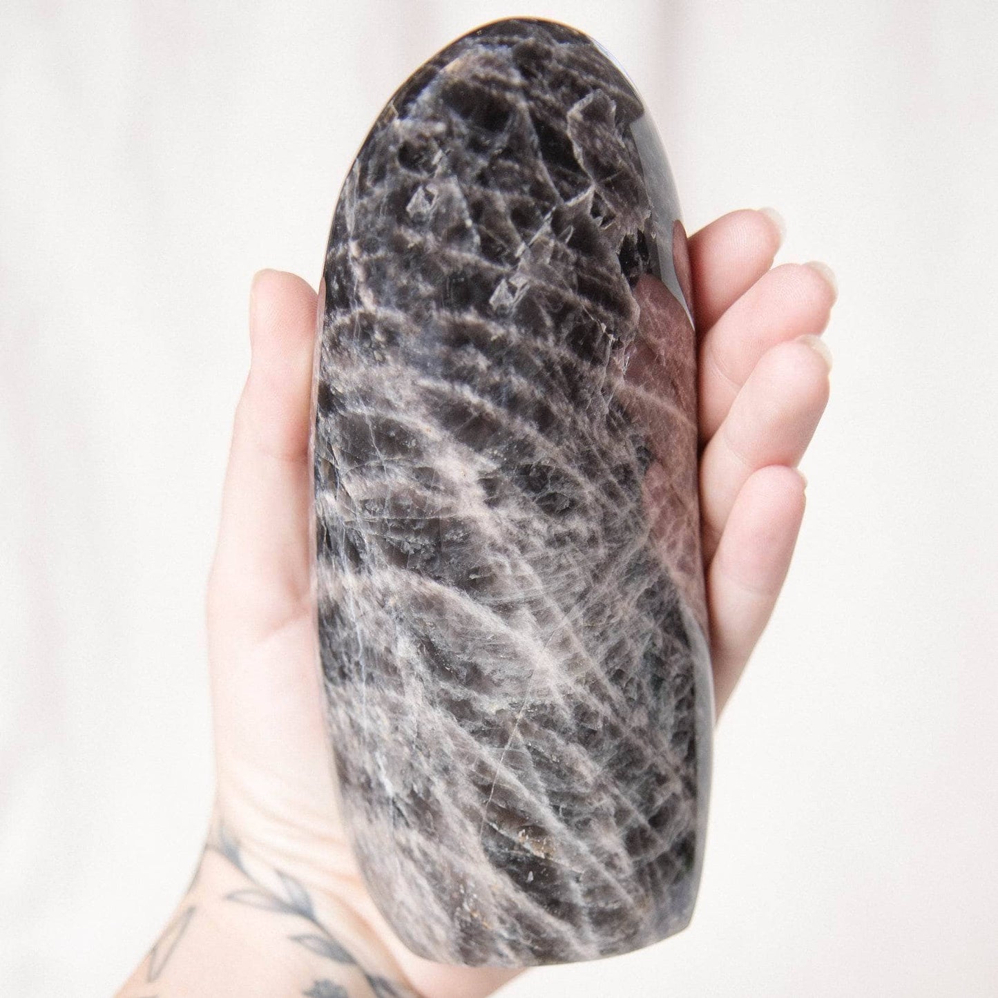 Black Moonstone Freeform - AAA Premium Quality