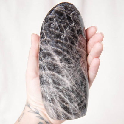 Black Moonstone Freeform - AAA Premium Quality