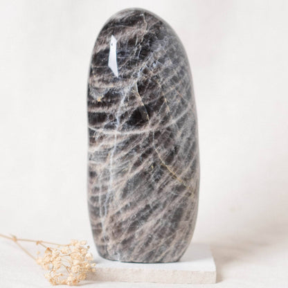 Black Moonstone Freeform - AAA Premium Quality