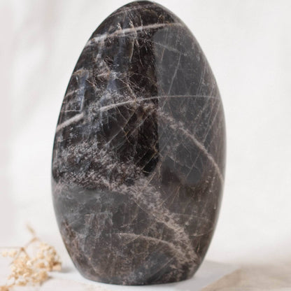 Black Moonstone Freeform - AAA Premium Quality