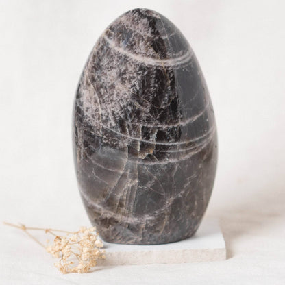 Black Moonstone Freeform - AAA Premium Quality