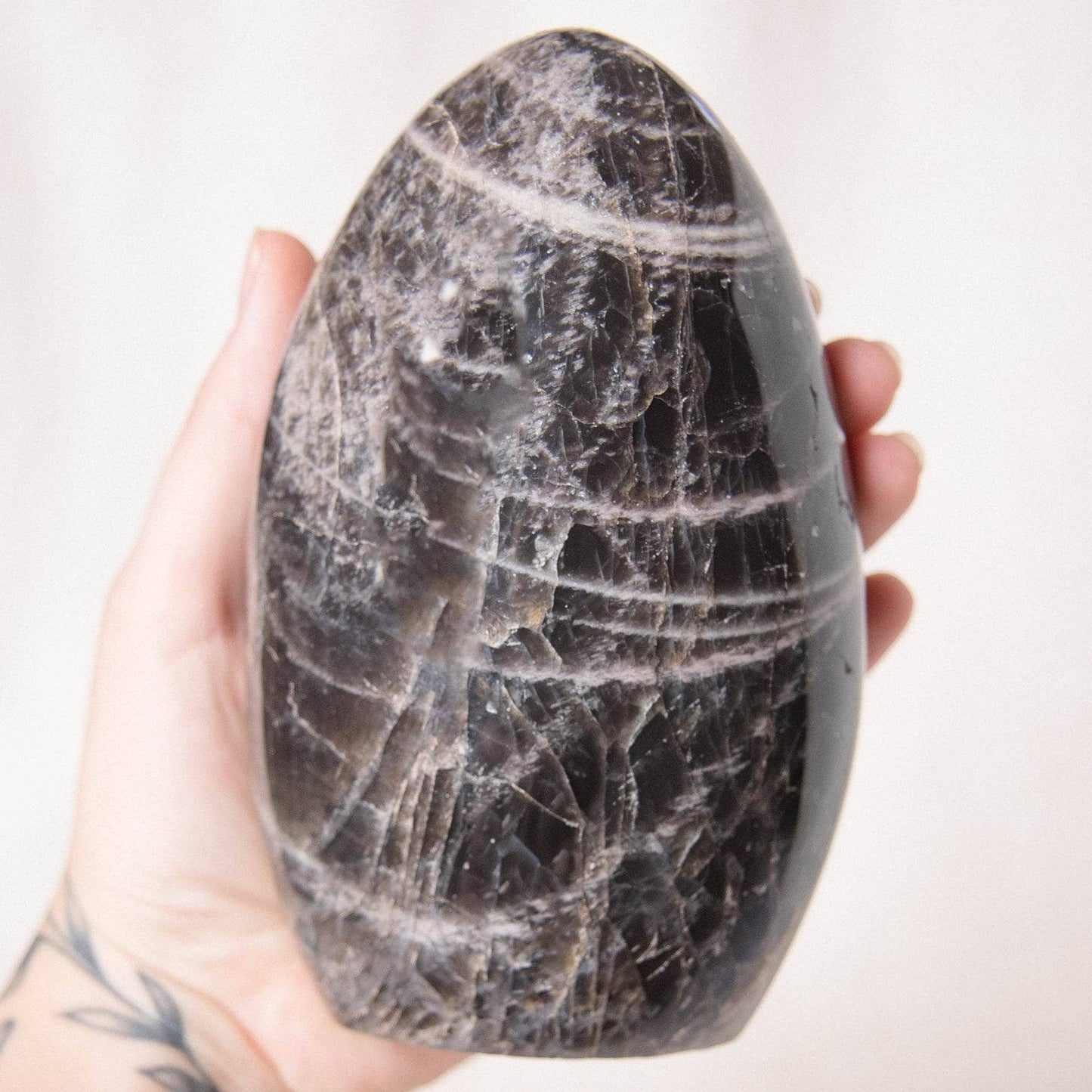 Black Moonstone Freeform - AAA Premium Quality