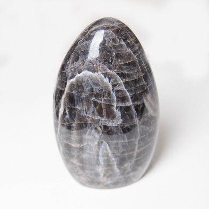 Black Moonstone Freeform - AAA Premium Quality