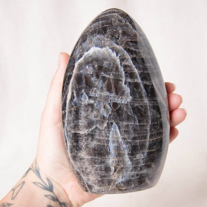 Black Moonstone Freeform - AAA Premium Quality
