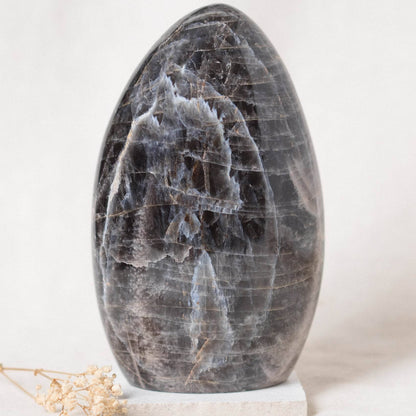 Black Moonstone Freeform - AAA Premium Quality