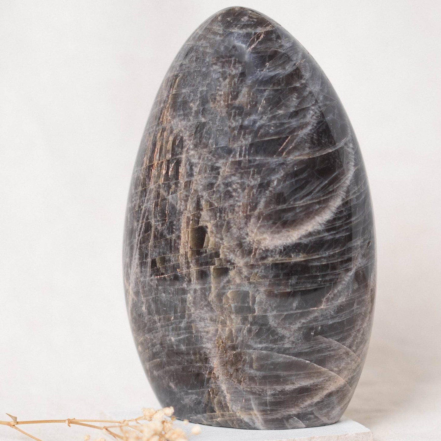 Black Moonstone Freeform - AAA Premium Quality