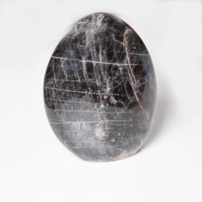 Black Moonstone Freeform - AAA Premium Quality