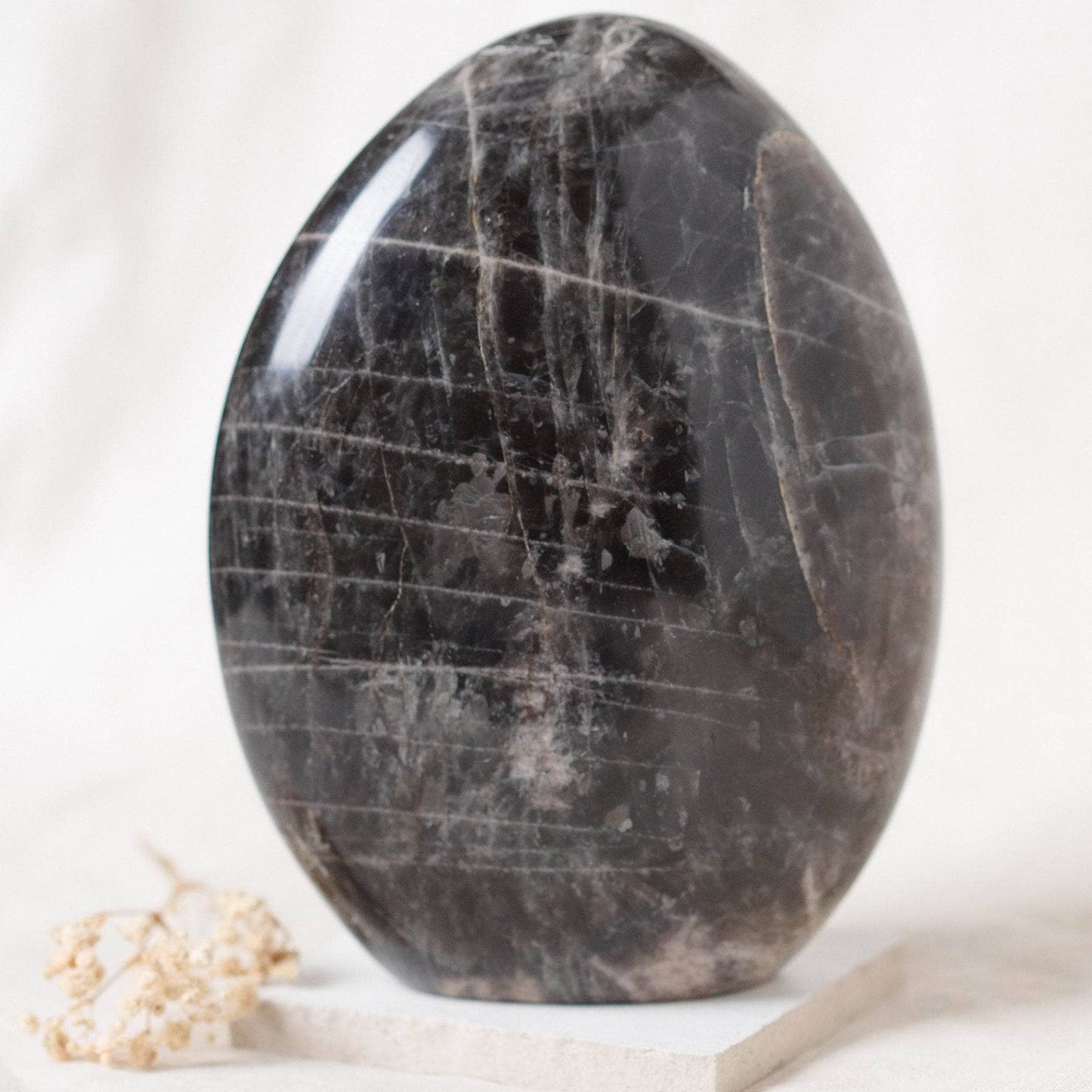 Black Moonstone Freeform - AAA Premium Quality