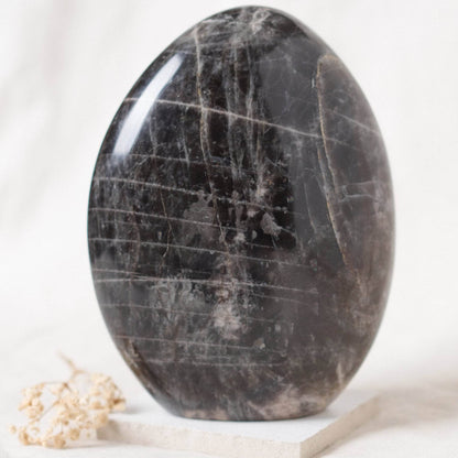 Black Moonstone Freeform - AAA Premium Quality