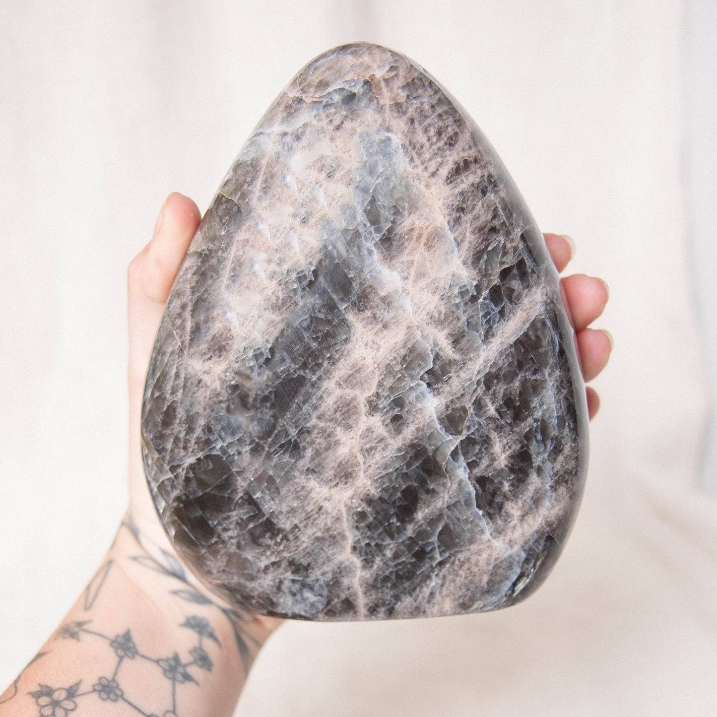 Black Moonstone Freeform - AAA Premium Quality