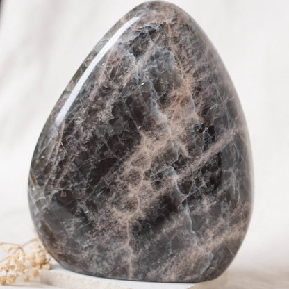 Black Moonstone Freeform - AAA Premium Quality