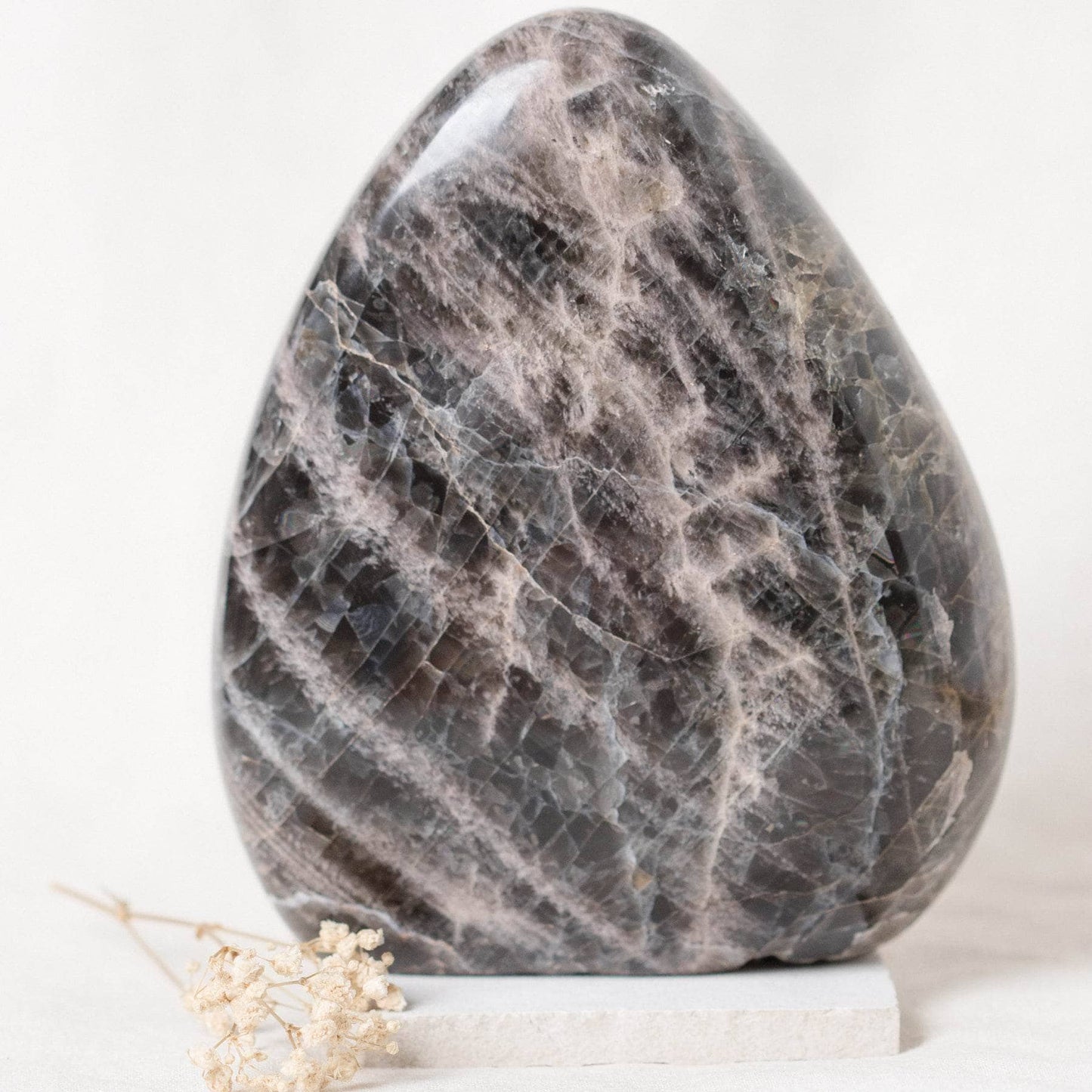 Black Moonstone Freeform - AAA Premium Quality
