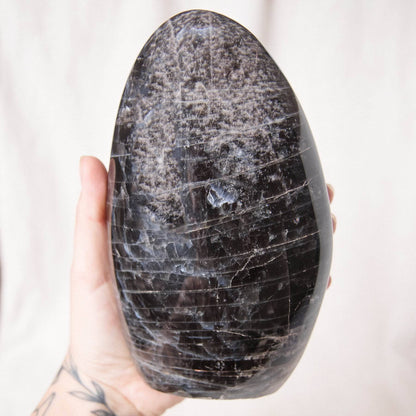 Black Moonstone Freeform - AAA Premium Quality