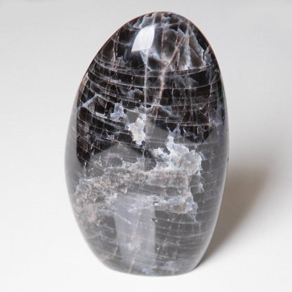 Black Moonstone Freeform - AAA Premium Quality