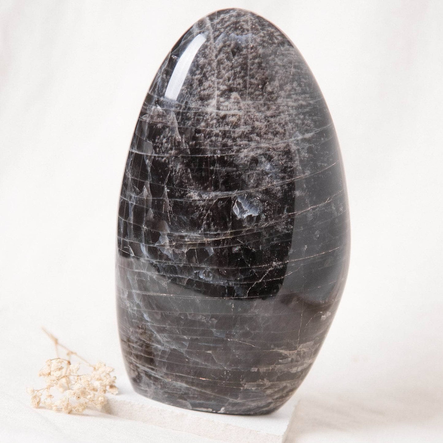 Black Moonstone Freeform - AAA Premium Quality