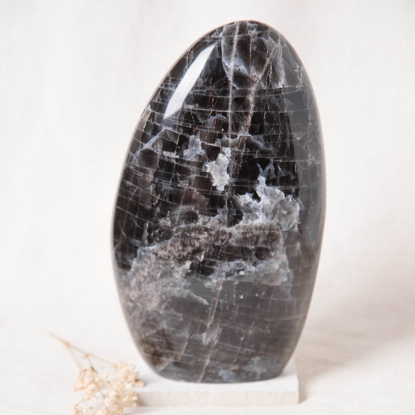 Black Moonstone Freeform - AAA Premium Quality