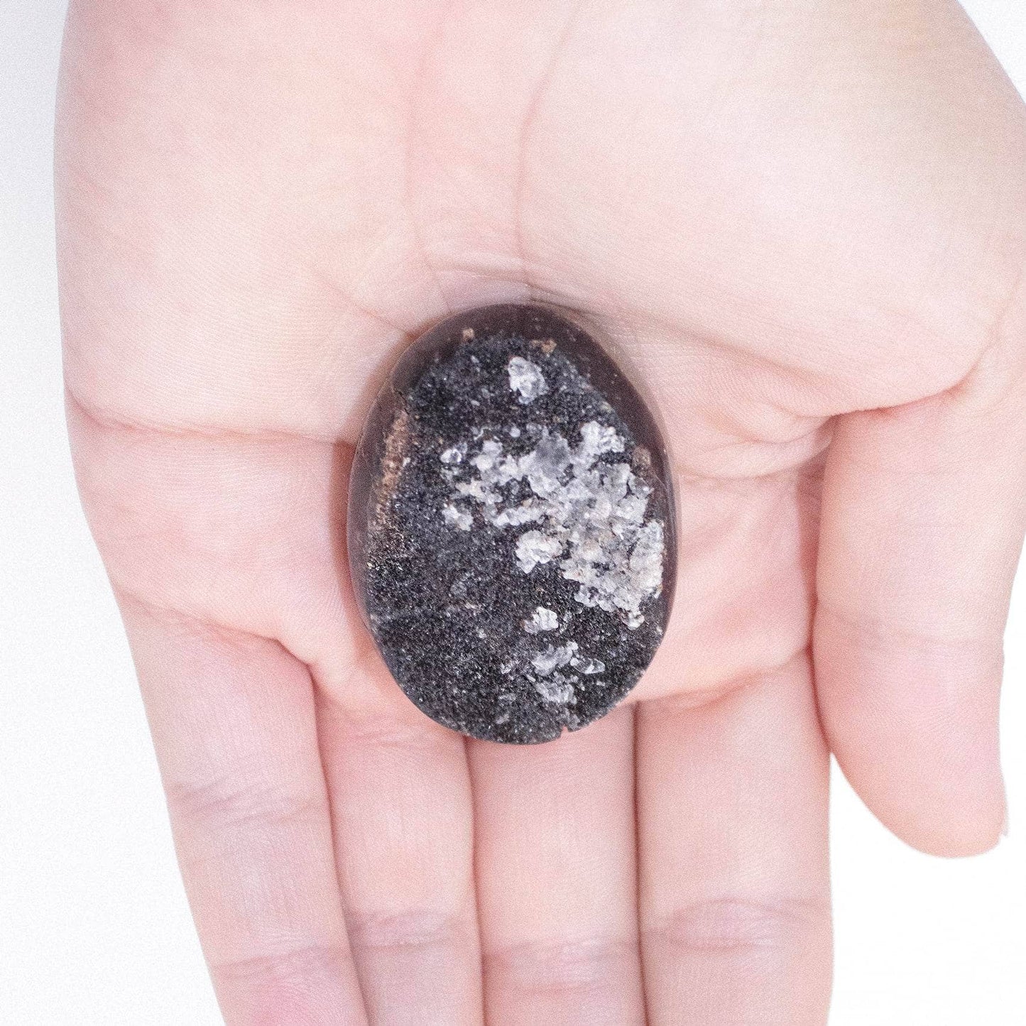 Black Septarian Pocket Stone - Natural Healing Crystals