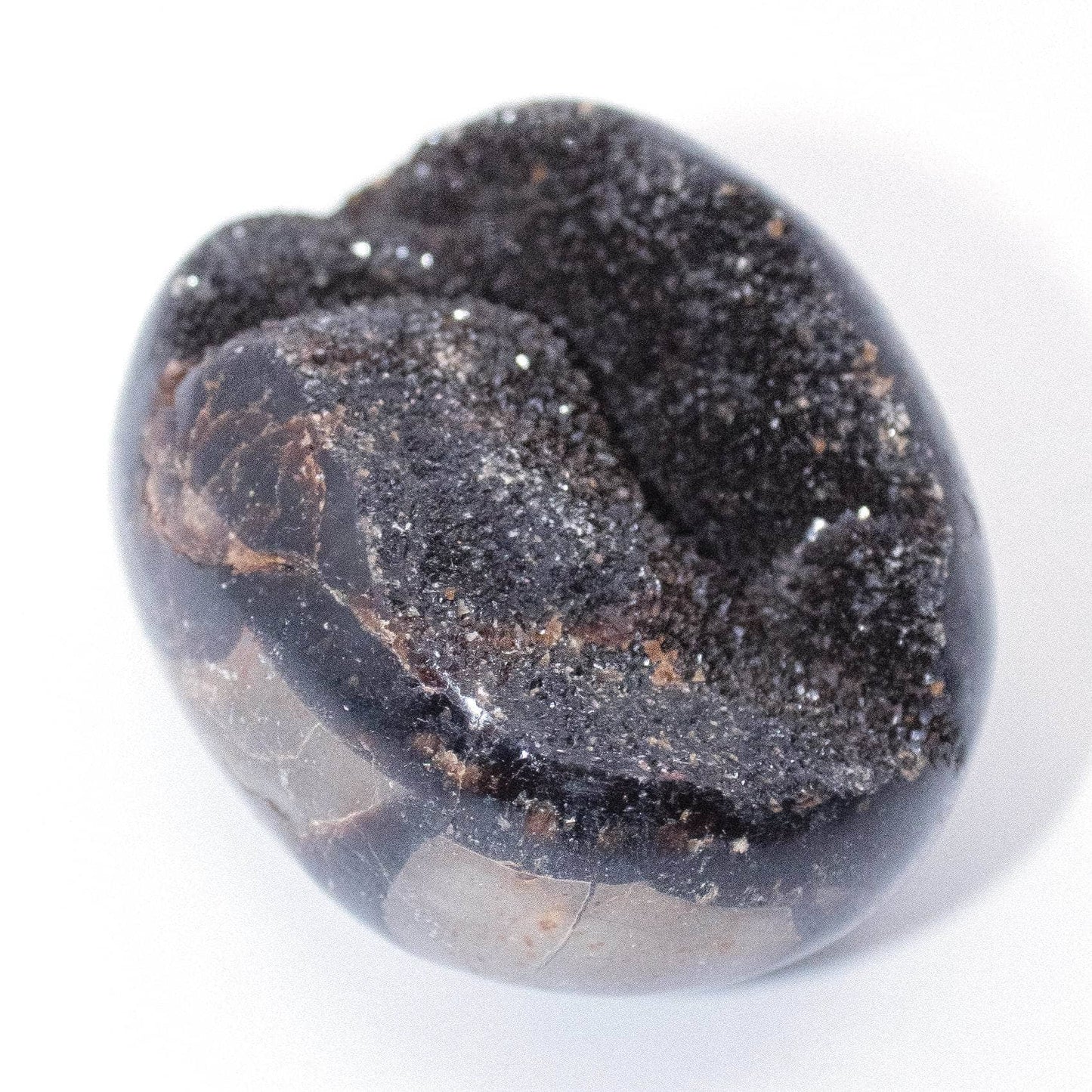 Black Septarian Palm Stones - AAA Premium Quality