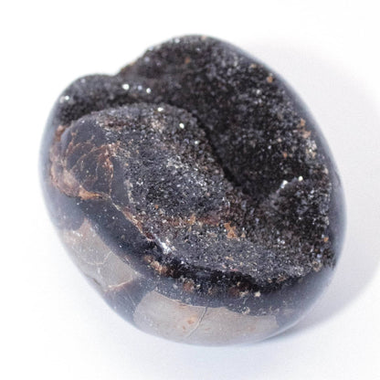 Black Septarian Palm Stones - AAA Premium Quality