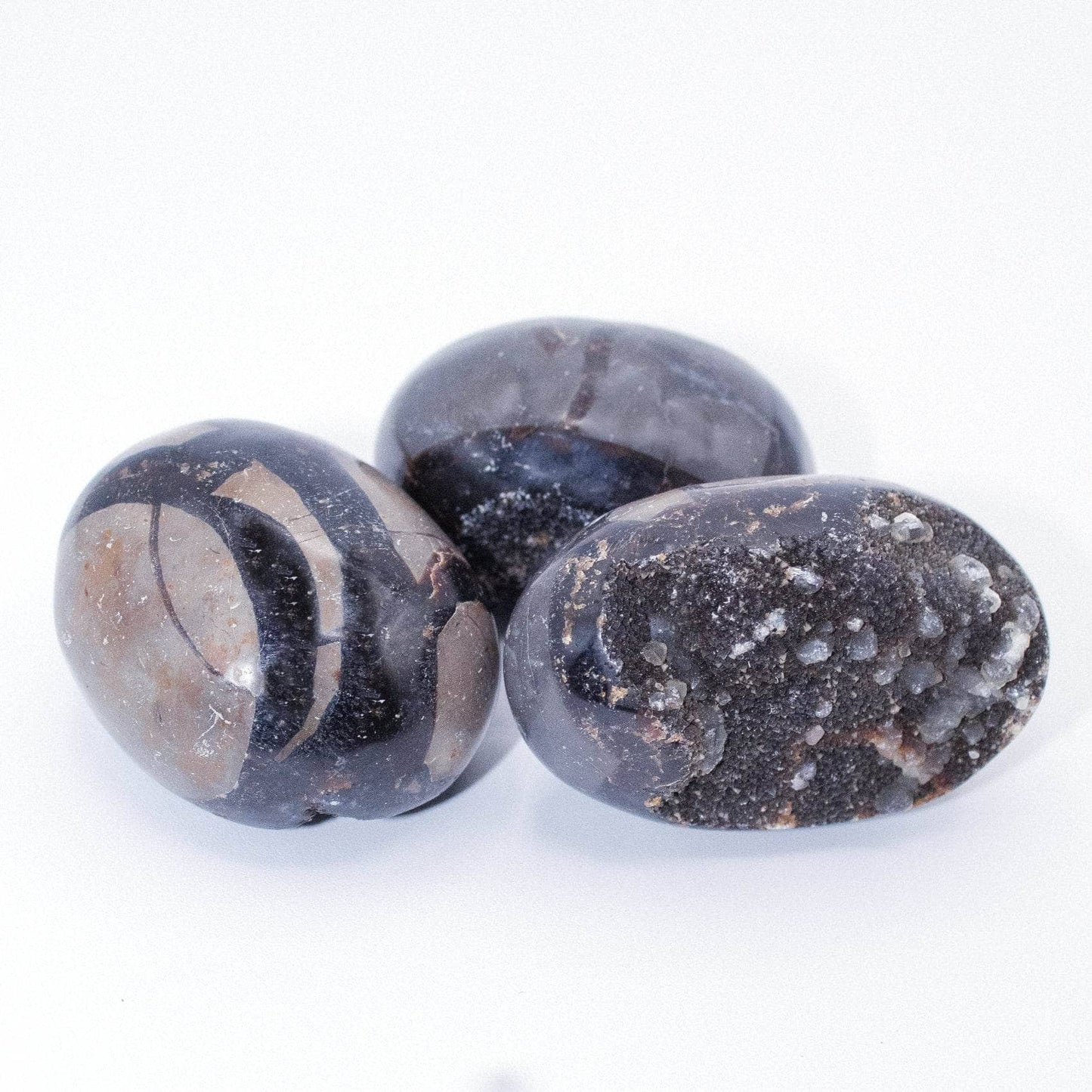 Black Septarian Palm Stones - AAA Premium Quality