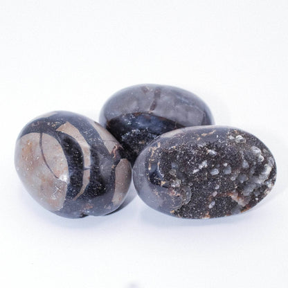 Black Septarian Palm Stones - AAA Premium Quality