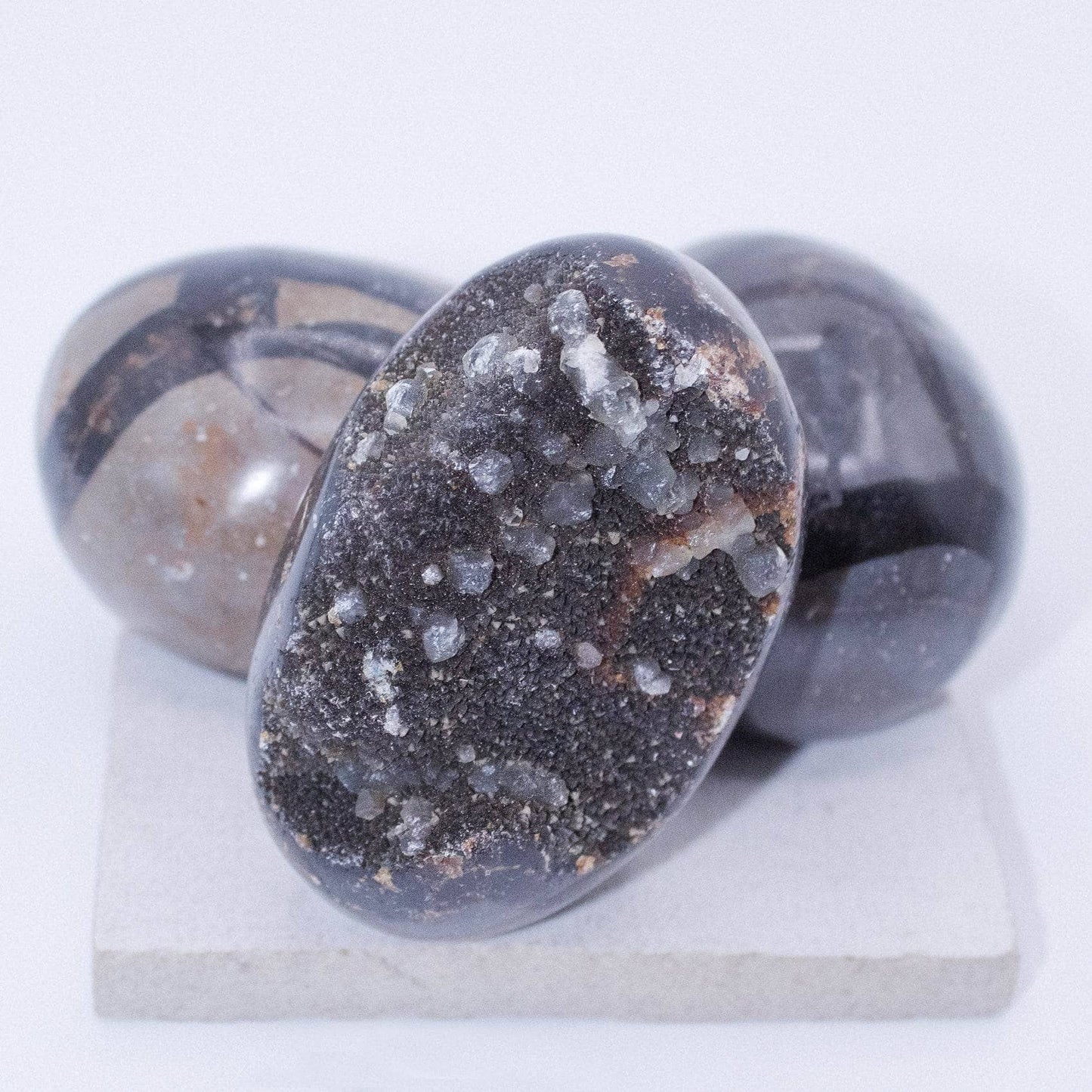 Black Septarian Palm Stones - AAA Premium Quality